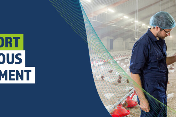 Layers_Continious_Improvement_Website_1568x504px_Portrait