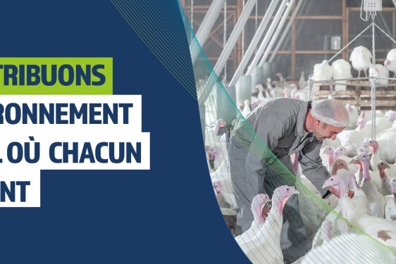 Turkeys_Environnement_Travail_Website_1568x504px_Portrait_FR